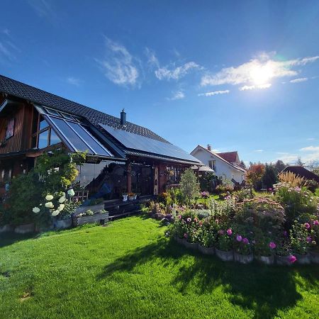 Blockhaus Im Sueden Deutschlands Βίλα Höchenschwand Εξωτερικό φωτογραφία